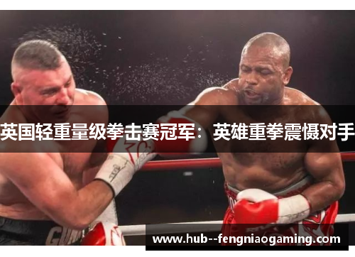 英国轻重量级拳击赛冠军:英雄重拳震慑对手 英国轻重量级拳击赛冠军:英雄重拳震慑对手