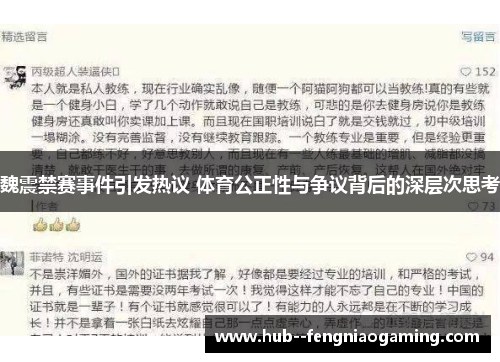 魏震禁赛事件引发热议 体育公正性与争议背后的深层次思考